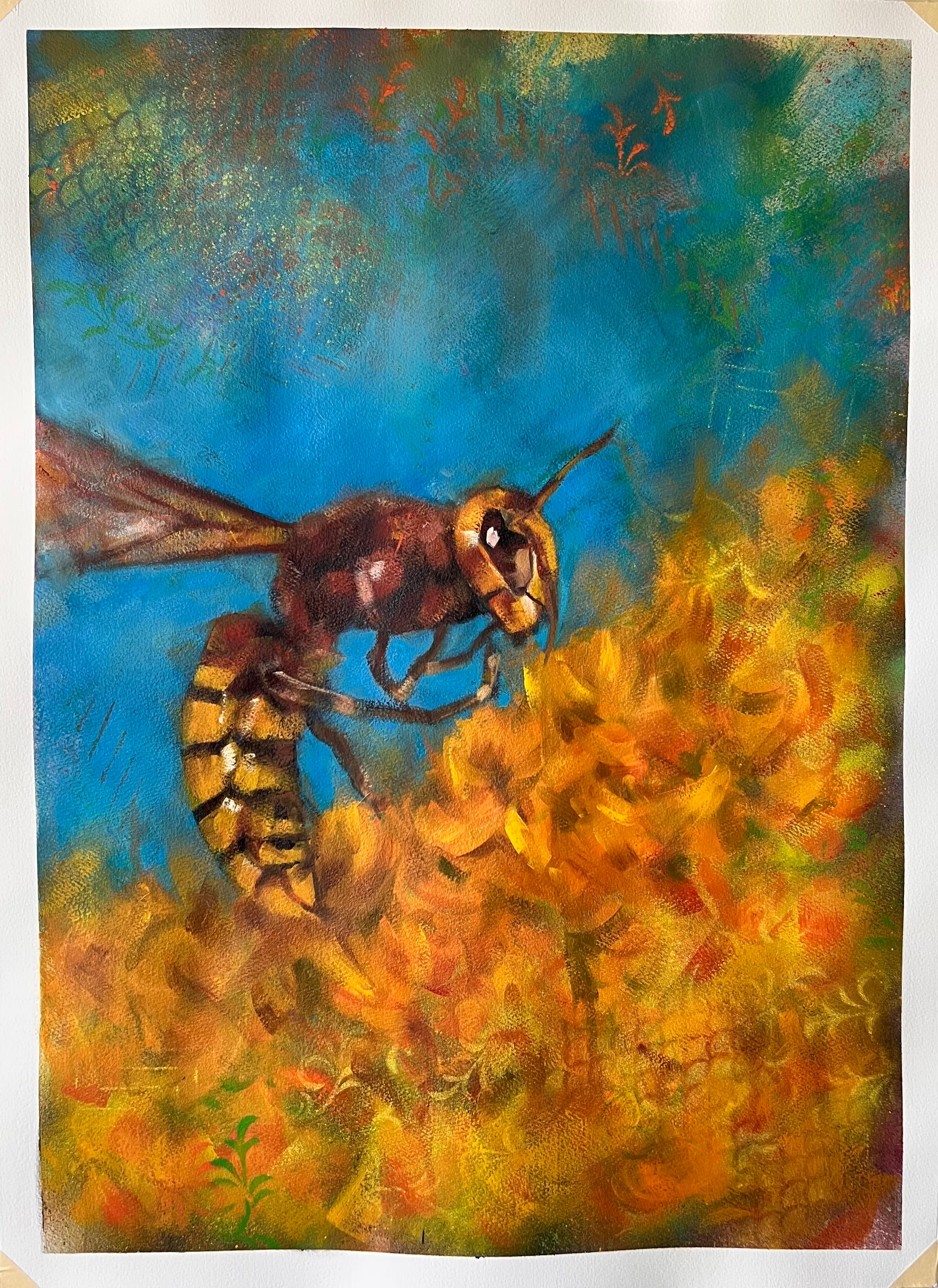 “Wasp”