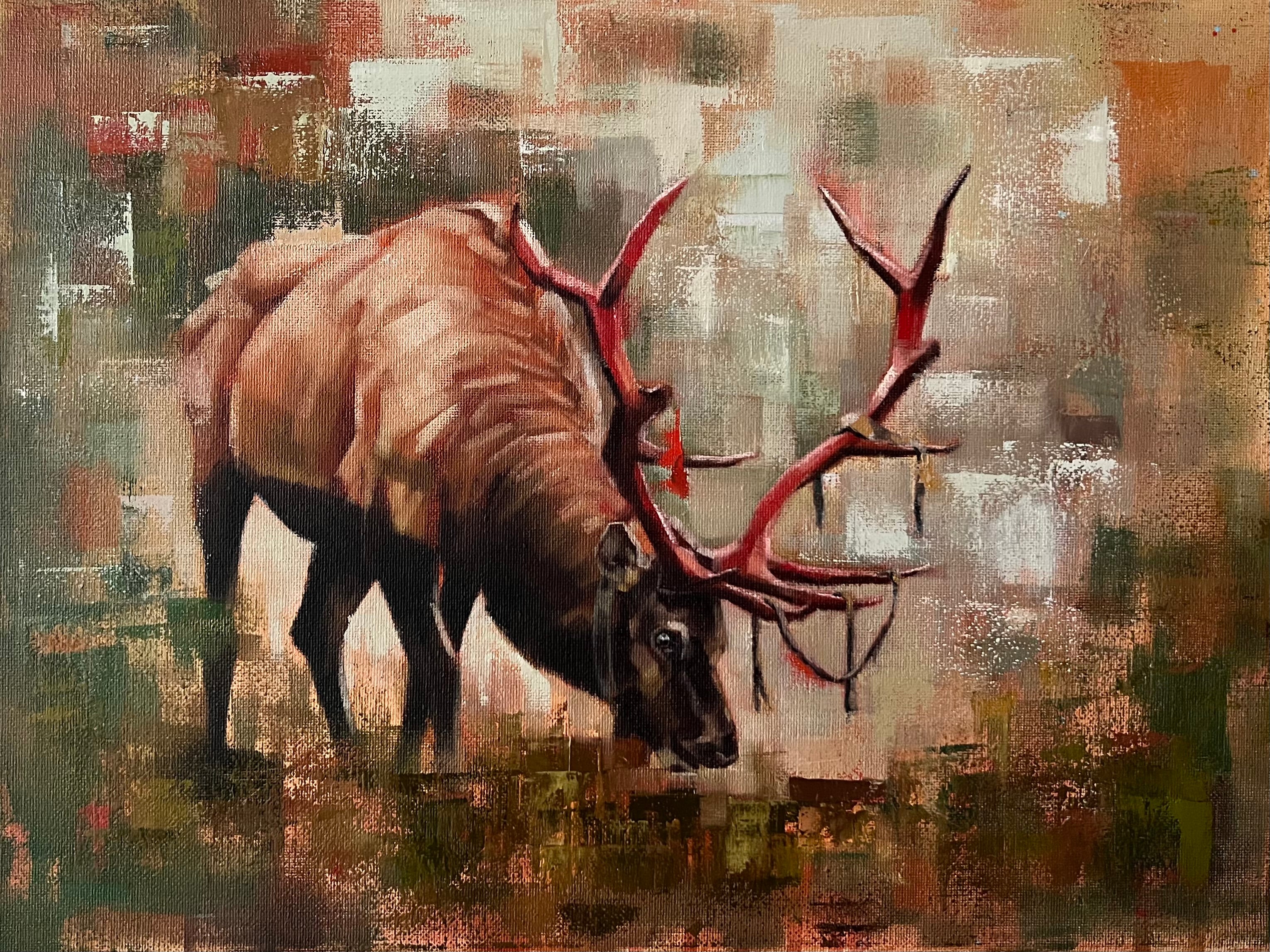 “Shedding Velvet”