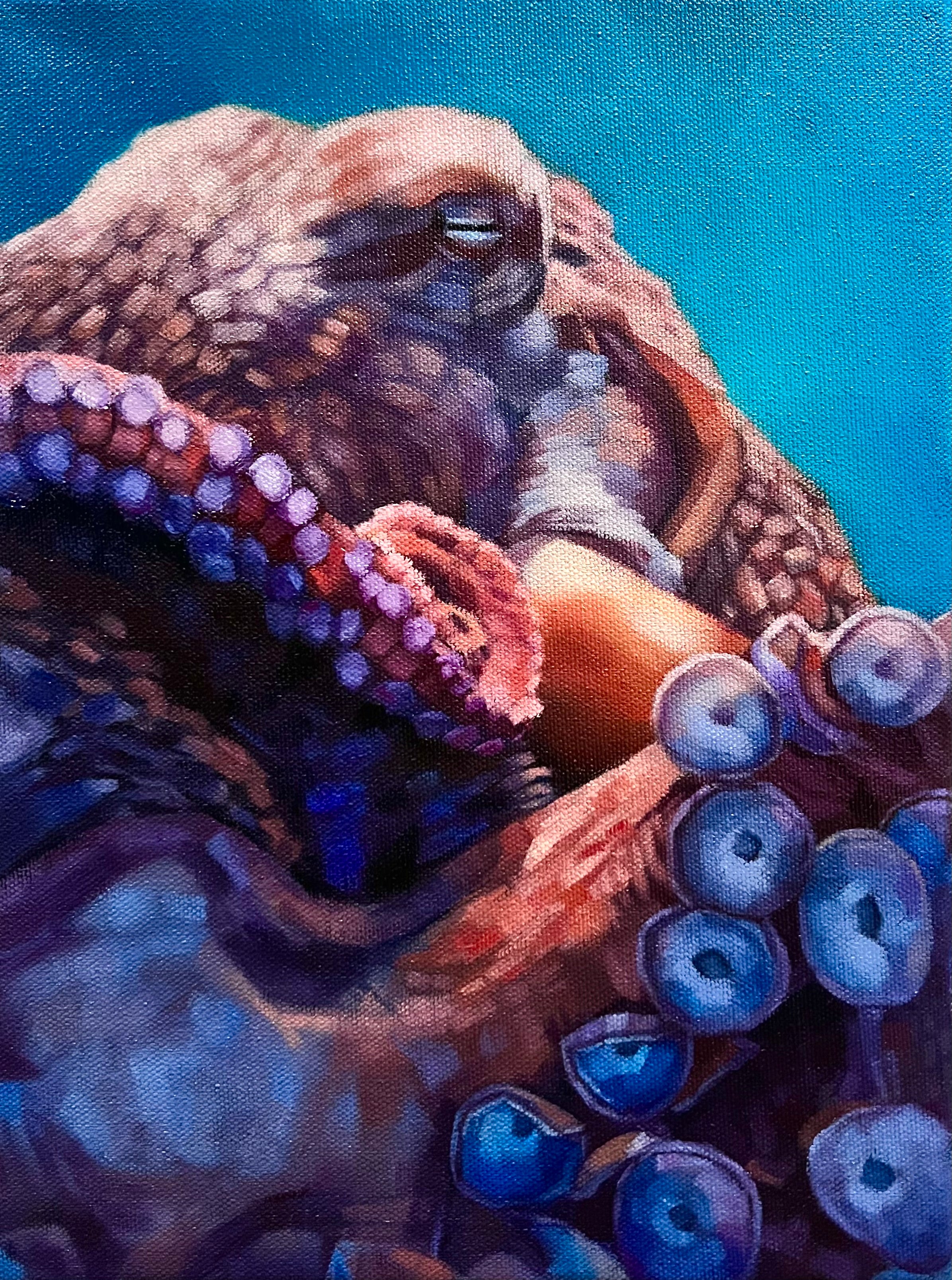 “Octopus”